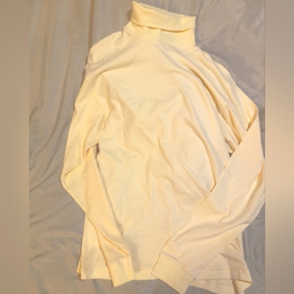 NWT✨INC Turtleneck